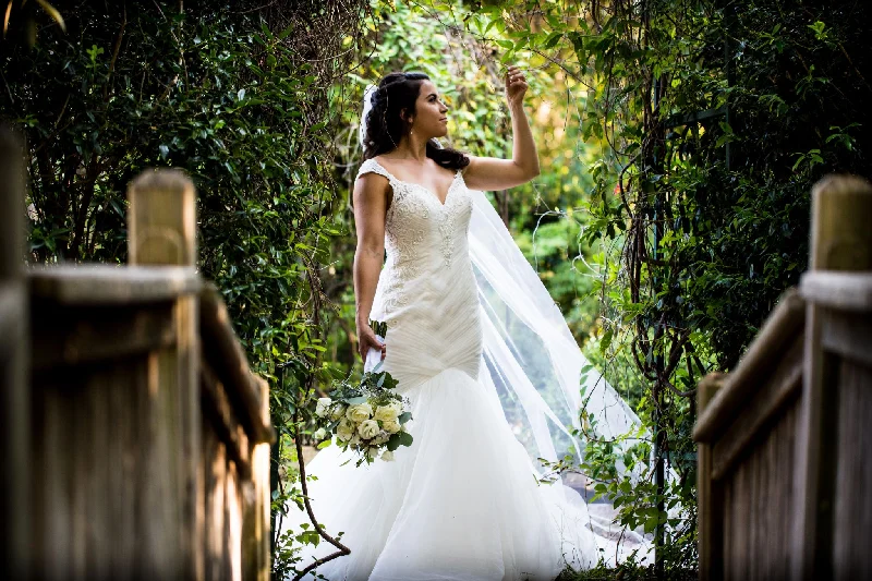 Today's Special Allure Bridals