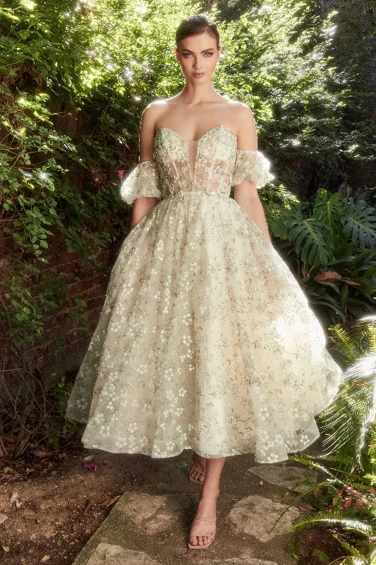 Bargain Blast Andrea and Leo A1197 Dress